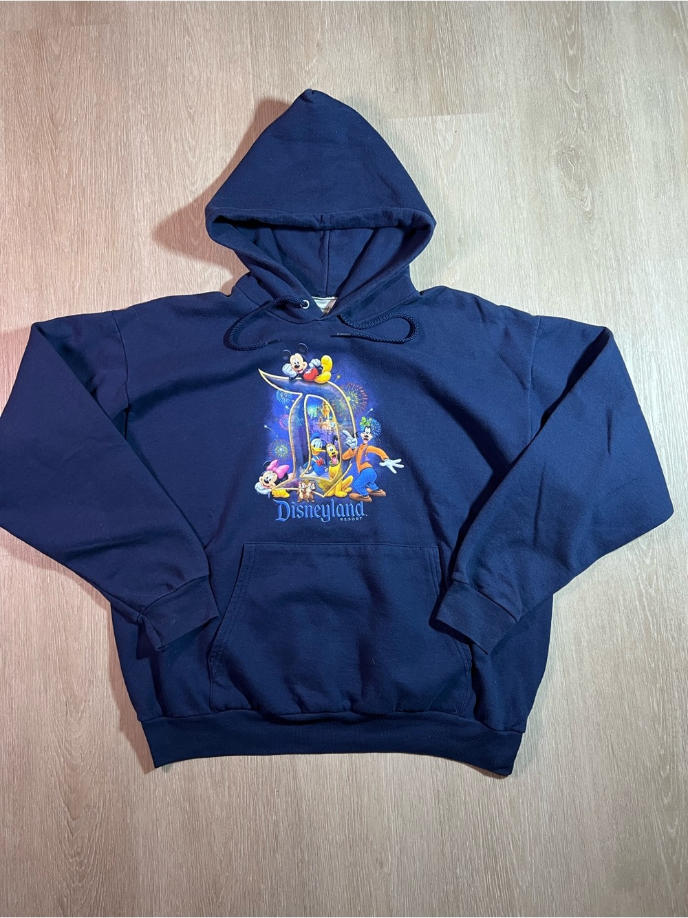 Disneyland Resort Hong Kong Exclusice Navy Blue Graphic Hoodie Sweatshirt